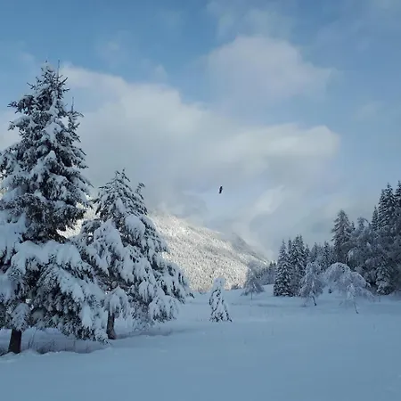 Mitterer Weissensee