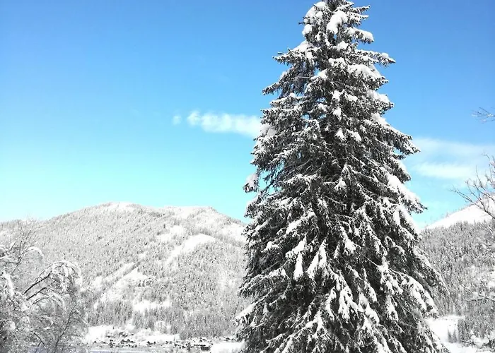 Mitterer Apartamento